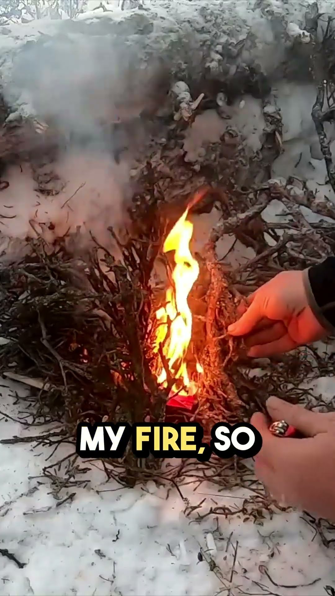 Winter Bushcraft Camping with 4 yr Old #camping #outdoorsurvival #bushcraft